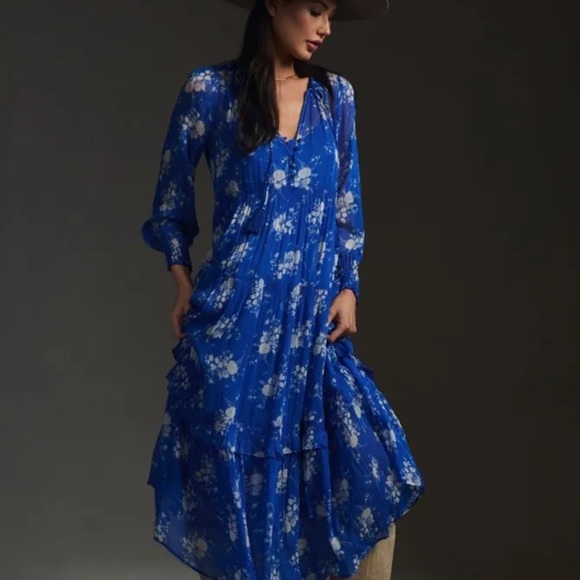 Anthropologie The Marais Printed Chiffon Maxi Dress Floral Blue Gray - Picture 2 of 7